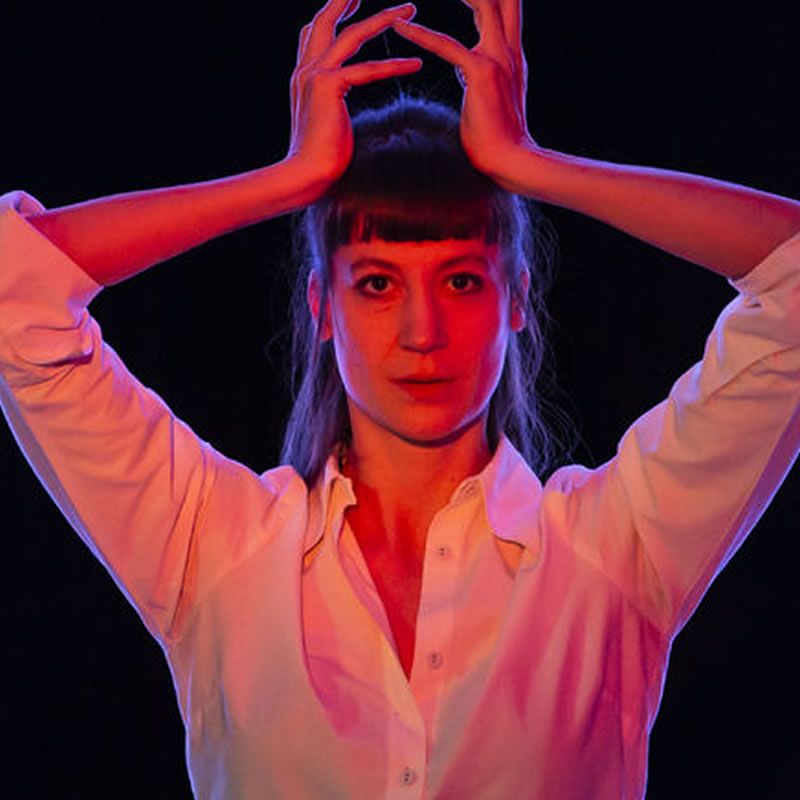 Antigone, Interrupted