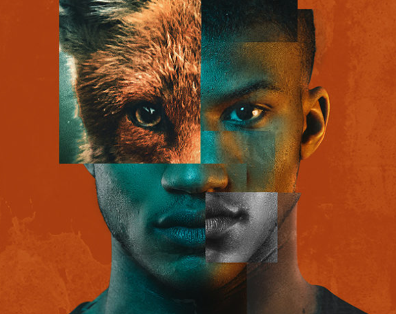 Foxes