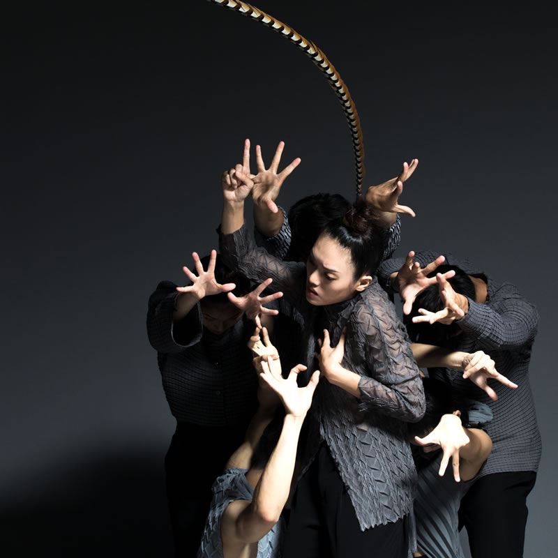 Virtual Dance: Taiwan Season 2020 