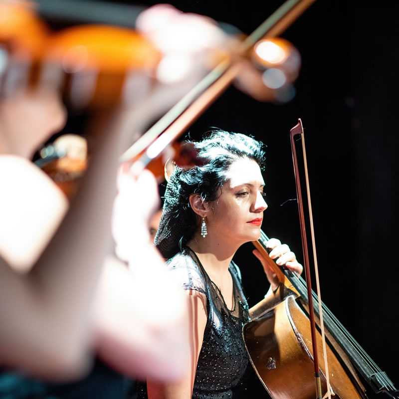 The Orchestra
