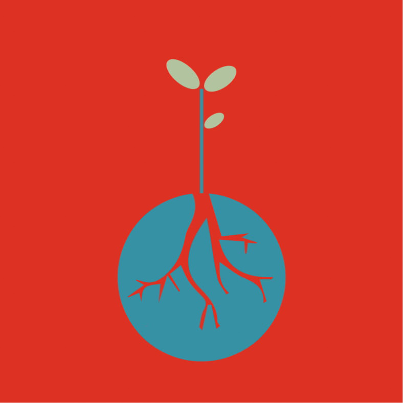 Mycorrhiza