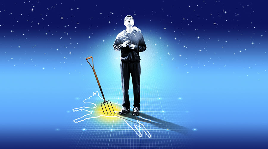The Curious Incident of the Dog in the Night-Time