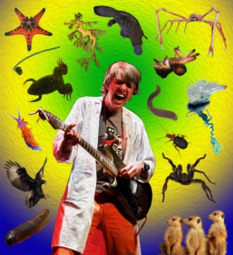 Ensonglopedia of Animals