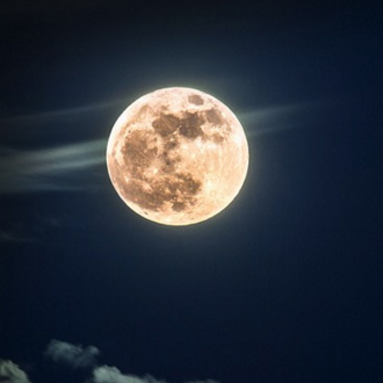 A Midsummer Night's Dream