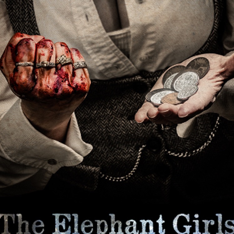 The Elephant Girls