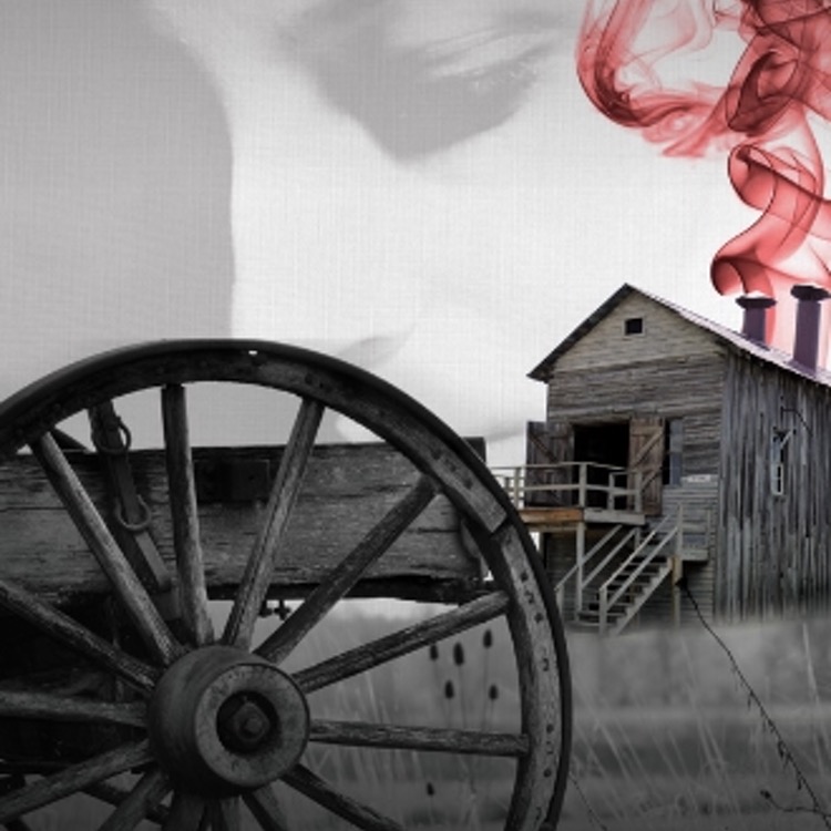 Tennessee Williams' 27 Wagons Full of Cotton