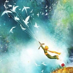 Flight