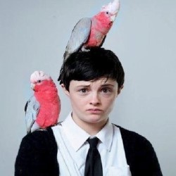 Demi Lardner: Birds with Human Lips