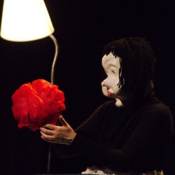 The show stirs the imagination and invites the audience to connect with their inner playful spirit.