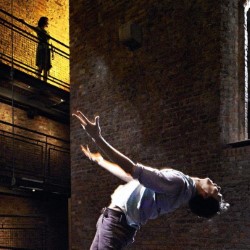 Rarely have I seen a piece of dance theatre that is both so delicate and so powerful at the same time. 