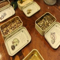 The Perilous Botanical Expedition