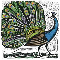 Animal Songs: Bestiaries in English, French, and German