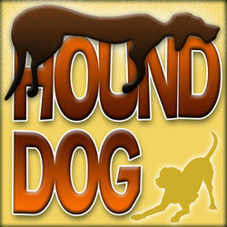 Hound Dog