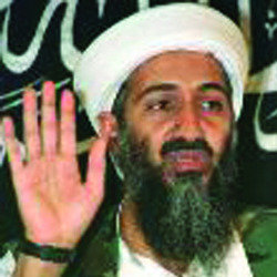 Bin Laden: The One Man Show