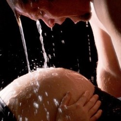 The Solid Life of Sugar Water
