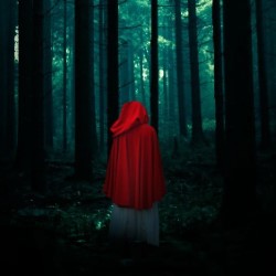 Fourth Monkey's Grimm Tales: Little Red Cap