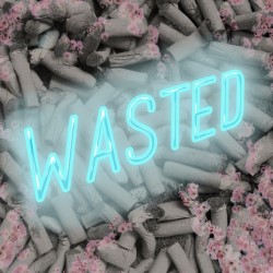 Wasted