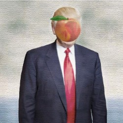 Trumpus Interruptus: The Impeachment of Donald J Trump 