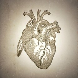 The Archive of Educated Hearts