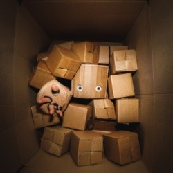 Fulfilment