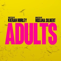 Kieran Hurley's Adults was like being taken for a 1 hour and 20 minute gripping joyride
