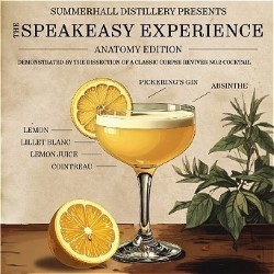 The Speakeasy Experience