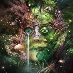 Bog Witch