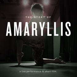Amaryllis