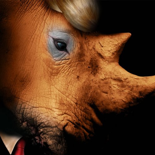 Rhinoceros