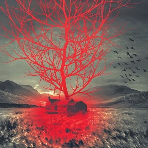Grain in the Blood