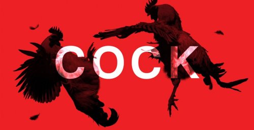Cock