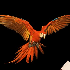 A swashbuckling festive romp with an excellent original score and guaranteed laughs for audiences of all ages