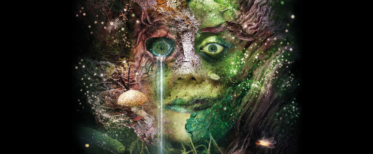 Bog Witch