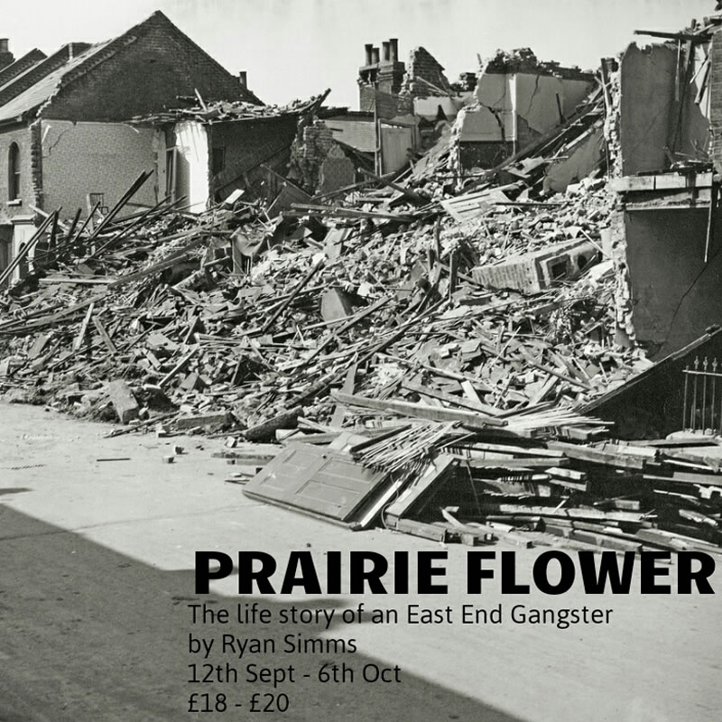 Prairie Flower