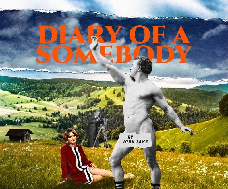 Diary of a Somebody